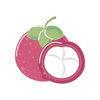 mangosteen fresh fruit icon isolated style vector