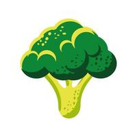 comida vegetal de brócoli vector