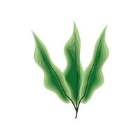 leaves vegetation plant vector