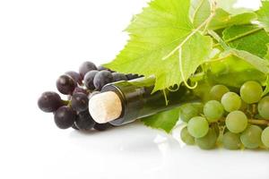 Wine and grape isolated photo