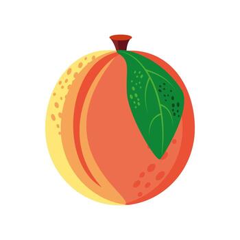 fruit peach food vector