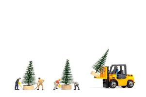 Gente en miniatura, trabajador preparando el árbol de navidad sobre fondo blanco.