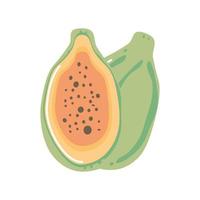 papaya fresh fruit icon isolated style vector