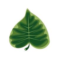 leaf shaped heart vector