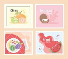 fruits citrus fresh juicy and tropical mandarine watermelon coconut vector