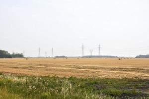 a field with round bales and hydro towers photo