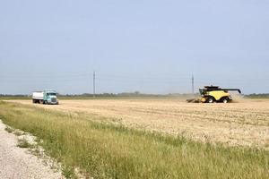 cosechadora y camión de grano en un campo foto