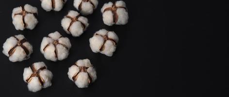 Cotton flowers isolated on black background. photo