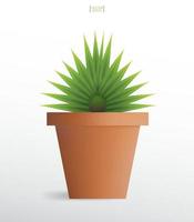 plantas de decoración en maceta. árbol pequeño. idea de objeto natural para diseño de interiores y decoración. vector. vector