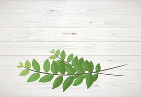 Wood texture background with green leaves.  Vector illustration.