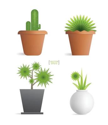 Beautiful decoration plants in flower pot. Small tree. Natural object idea for interior design and decoration. Vector.