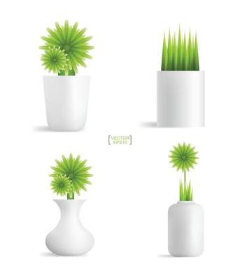 Beautiful decoration plants in flower pot. Small tree. Natural object idea for interior design and decoration. Vector.