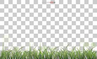 Green grass field with transparent background. Vector. vector