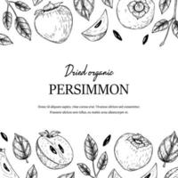 Hand drawn vintage persimmon square design. Vector illustration in sketch style. Place for text