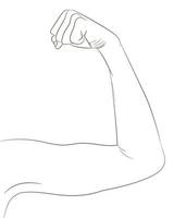 Female well toned biceps. Bent arm showing progress after fitnes vector