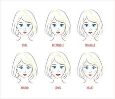 Woman face proportion infographic vector