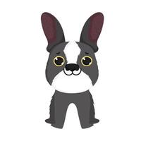 cute french bulldog vector