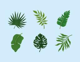 set of monstera vector