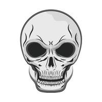 skull bone face vector