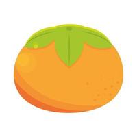 orange citrus fruit vector