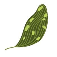 spotted leaf plant vector