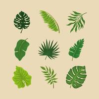 tropical exotic leaves vector