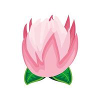 lotus flower leaves vector