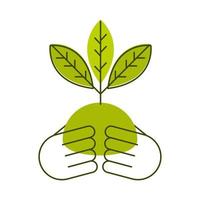 hands holds plant vector