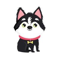 little dog with collar vector