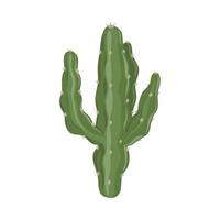 cactus botanical nature vector