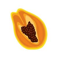 papaya de frutas tropicales vector