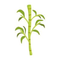 bamboo branch leaves vector