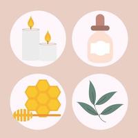 aromatherapy spa set vector