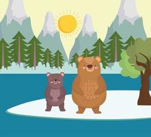 family bears in forest vector