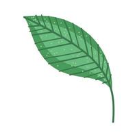 green leaf plant vector