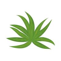 plant leaves vegetation vector