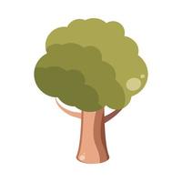 tree plant vegetation vector