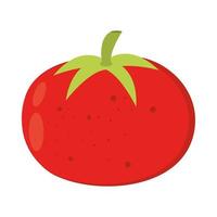 tomate vegetal fresco vector