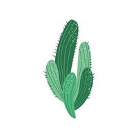 cactus planta naturaleza vector