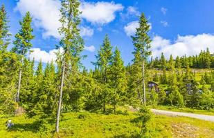 hermoso panorama cabañas cabañas montañas kvitfjell zona de esquí favang noruega. foto