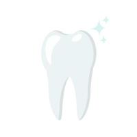 Tooth, tooth sample in flat style, dentistry and oral care vector