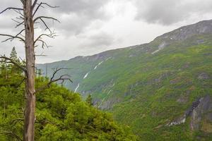 paisaje de montaña detrás de árbol muerto en utladalen jotunheimen paisajes noruega. foto