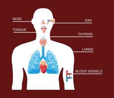 tema de órganos humanos vector