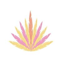 decorative feathers ornament vector