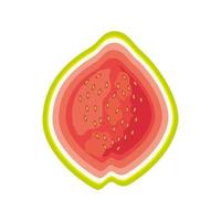 tropical fruit guava vector