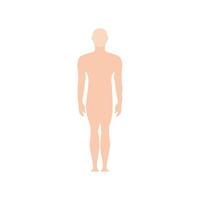 male human body vector