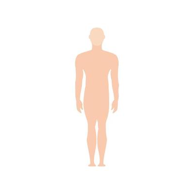 Human Body Vector Art, Icons, and Graphics for Free Download