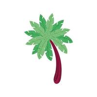 tropical palm tree vector