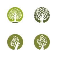 Tree logo images design vector