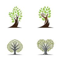 Tree logo images design vector